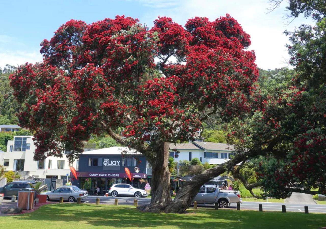 Beachpoint Apartments Ohope Esterno foto