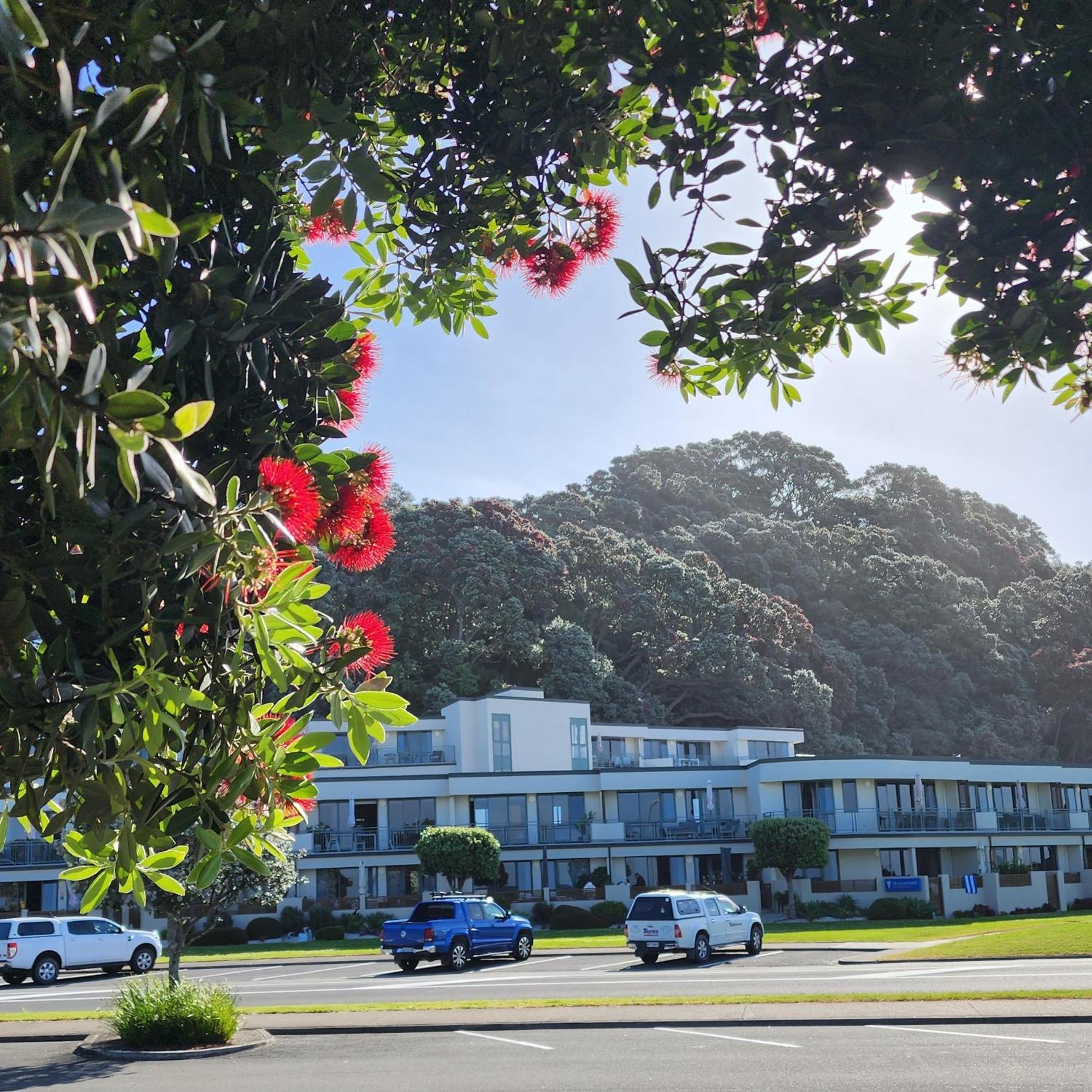 Beachpoint Apartments Ohope Esterno foto